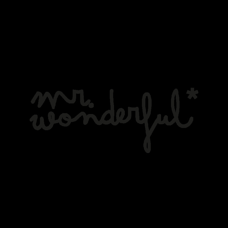 Mr. Wonderful*
